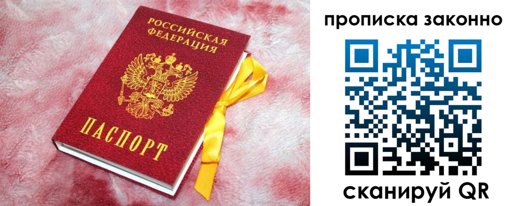 временная регистрация поиск в Светогорске